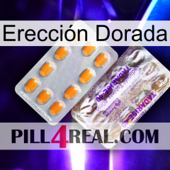 Erección Dorada new12